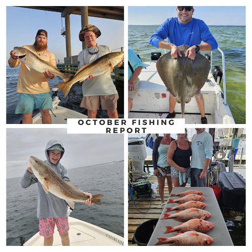 What's Biting Right Now in Destin- October Fishing Report