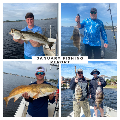 What’s Biting in Destin: January
