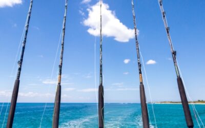 Fishing in Destin: Avoid These 3 Common Mistakes