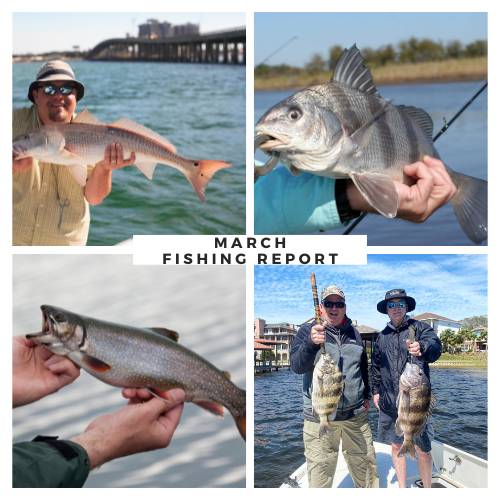 What’s Biting in Destin: March