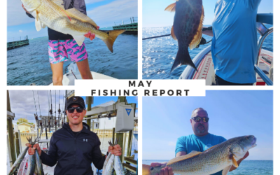 May Fishing Report: Destin Inshore
