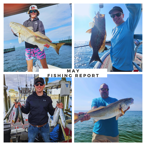 May Fishing Report: Destin Inshore