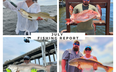 July Fishing In Destin