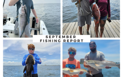 September Fishing in Destin