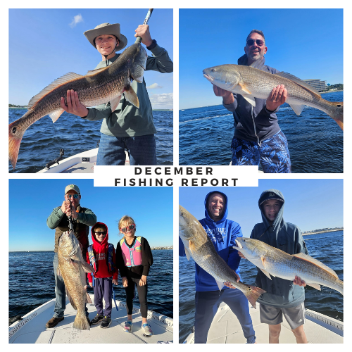 December Fishing In Destin: What to expect