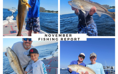 November Fishing in Destin