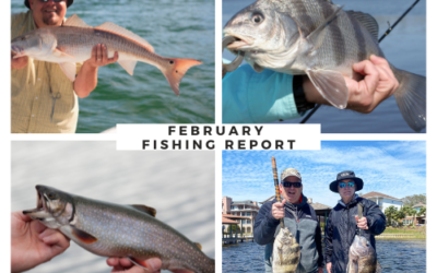 February Fishing in Destin