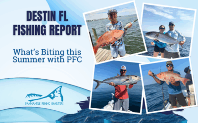 Destin FL Fishing Report: What’s Biting this Summer
