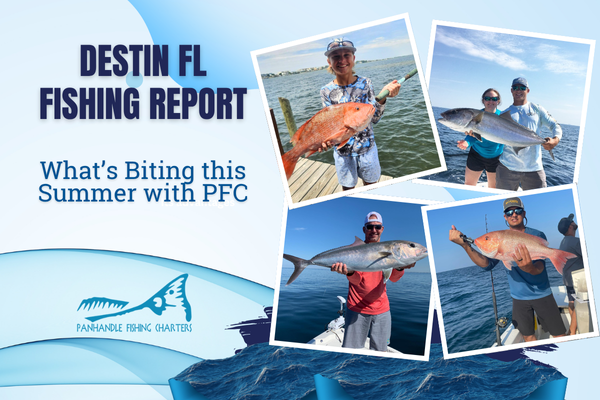 Destin FL Fishing Report: What’s Biting this Summer