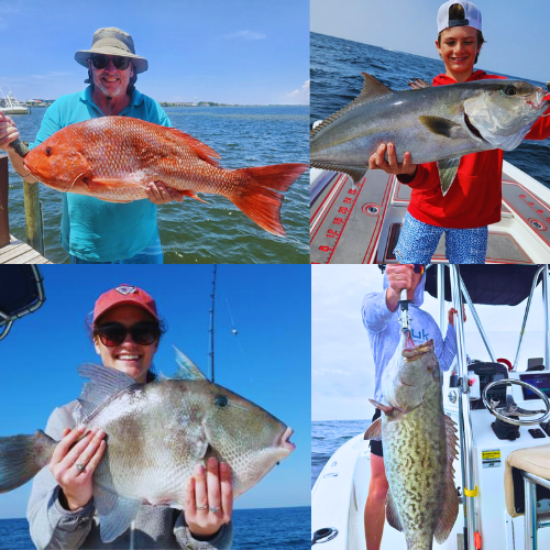 panhandle fishing charters september species bay fishing guides catching mackerel in destin florida