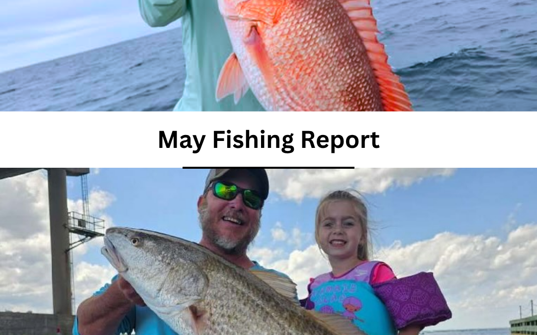 What’s Biting in Destin, Florida in May (2026 Fishing Report)