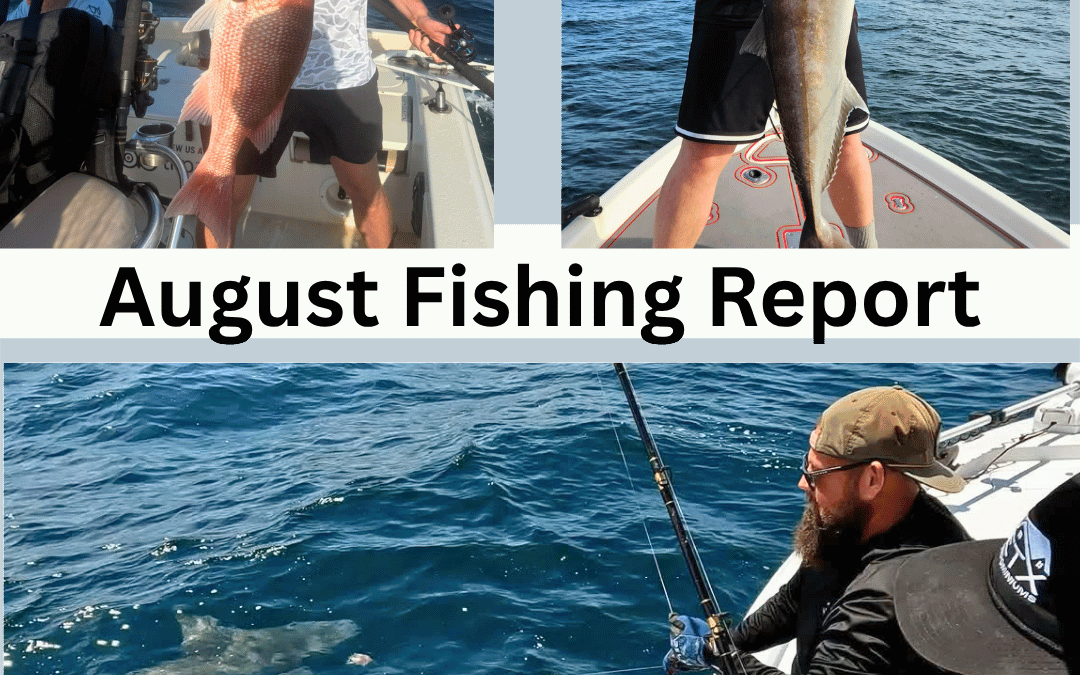 August Fishing Report: What’s Biting in Destin?