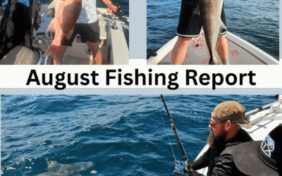August Fishing Report: What’s Biting in Destin?